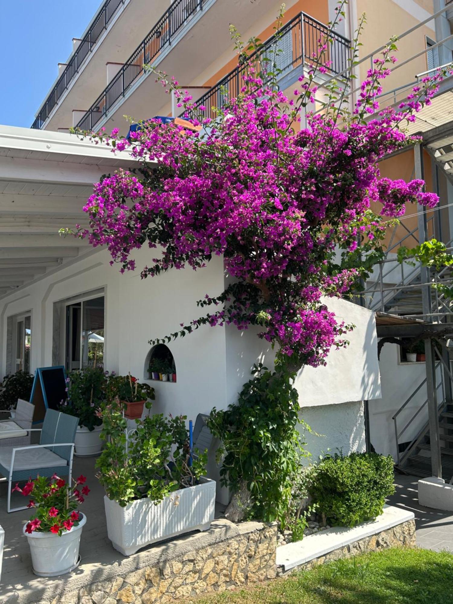 אמנטיאה Hotel Ristorante Santa Maria מראה חיצוני תמונה